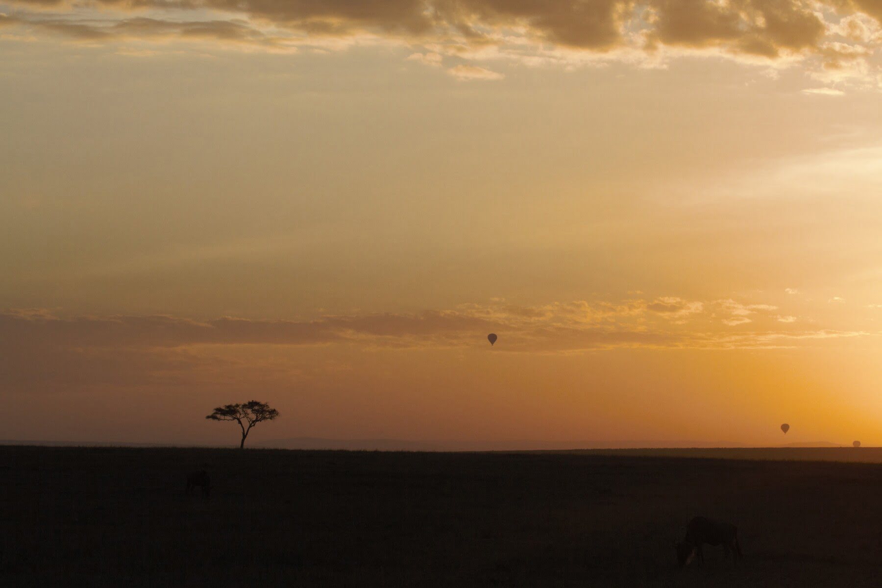 Maasai Mara sunrise with Balloon Safari